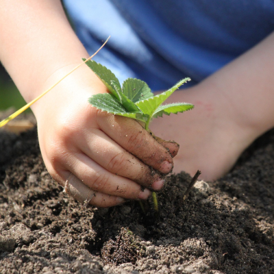 Huerto Urbano Madrid Team Building Empresa madrid smart