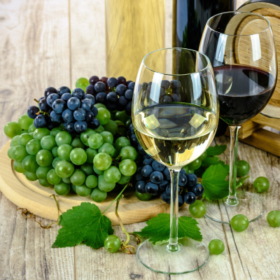 Vino España Madrid Cata Team Building madrid smart