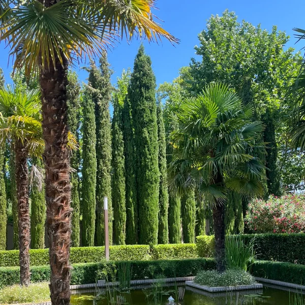 finca grande evento empresa madrid madrid smart