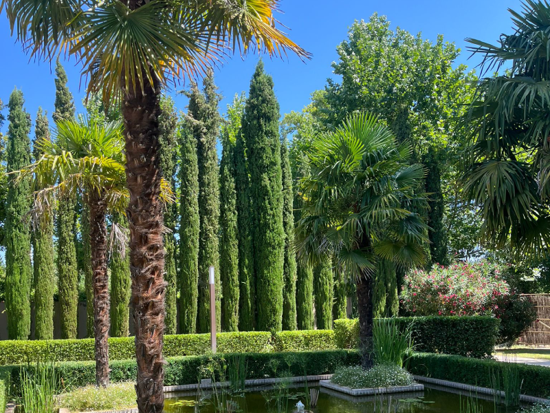 finca grande evento empresa madrid madrid smart