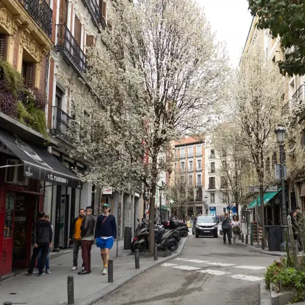 Chamberi expats madrid relocation