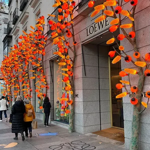 Salamanca expatriados madrid