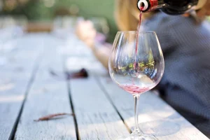 Visita Bodega España Team Building Madrid Speelsbury