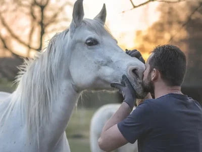 Equinoterapia madrid caballos equipo team building liderazgo animales (1)