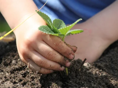 Huerto Urbano Madrid Team Building Empresa madrid smart