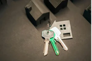 Plan sanchez alojamiento expatriados madrid relocation reubicacion ejecutivos madrid