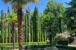 finca grande evento empresa madrid madrid smart