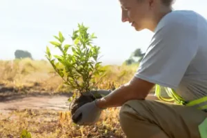 Reforestacion plantar arboles team building madrid madrid smart