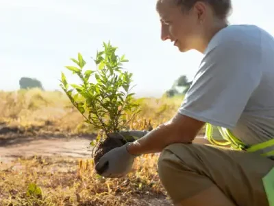 Reforestacion plantar arboles team building madrid madrid smart