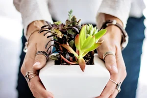 Taller verde Plantharium Team Building Madrid Speelsbury