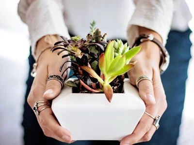 Taller verde Plantharium Team Building Madrid Speelsbury