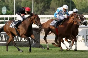 Team building la zarzuela hipodromo madrid madrid smart