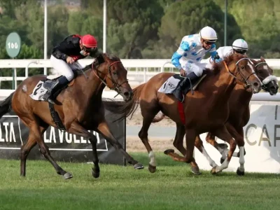 Team building la zarzuela hipodromo madrid madrid smart