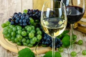 Vino España Madrid Cata Team Building madrid smart