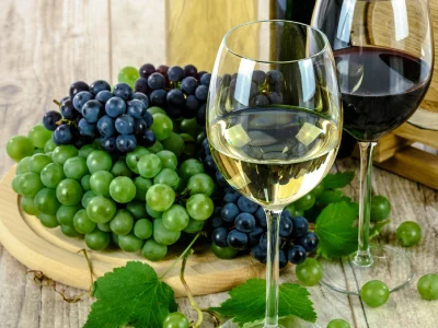 Vino España Madrid Cata Team Building madrid smart